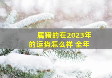 属猪的在2023年的运势怎么样 全年